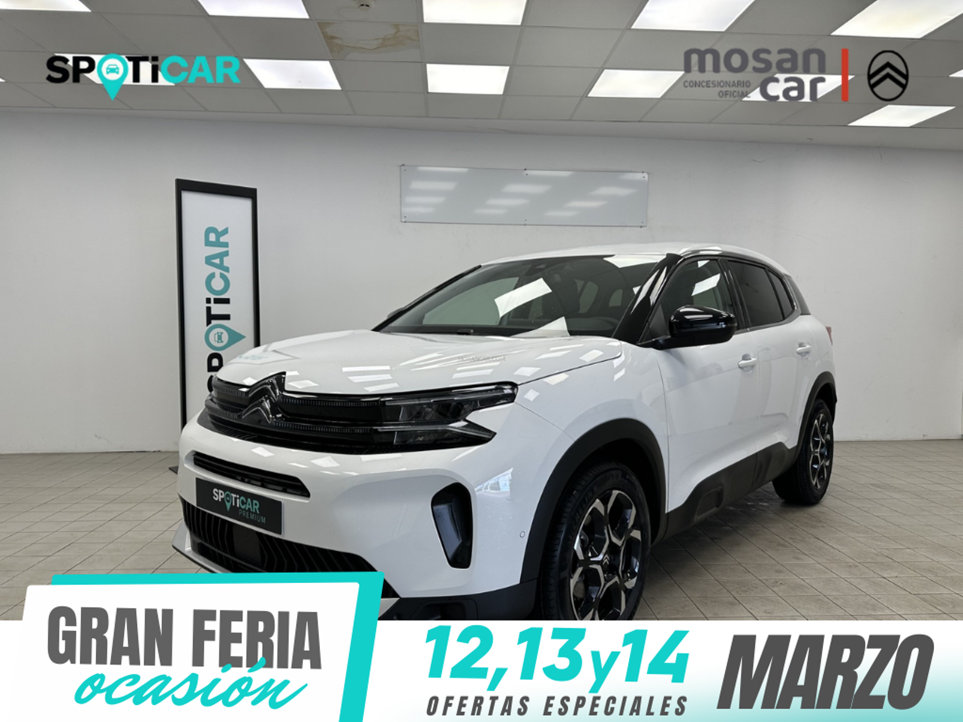 Imagen 1 de CITROEN C5 Aircross