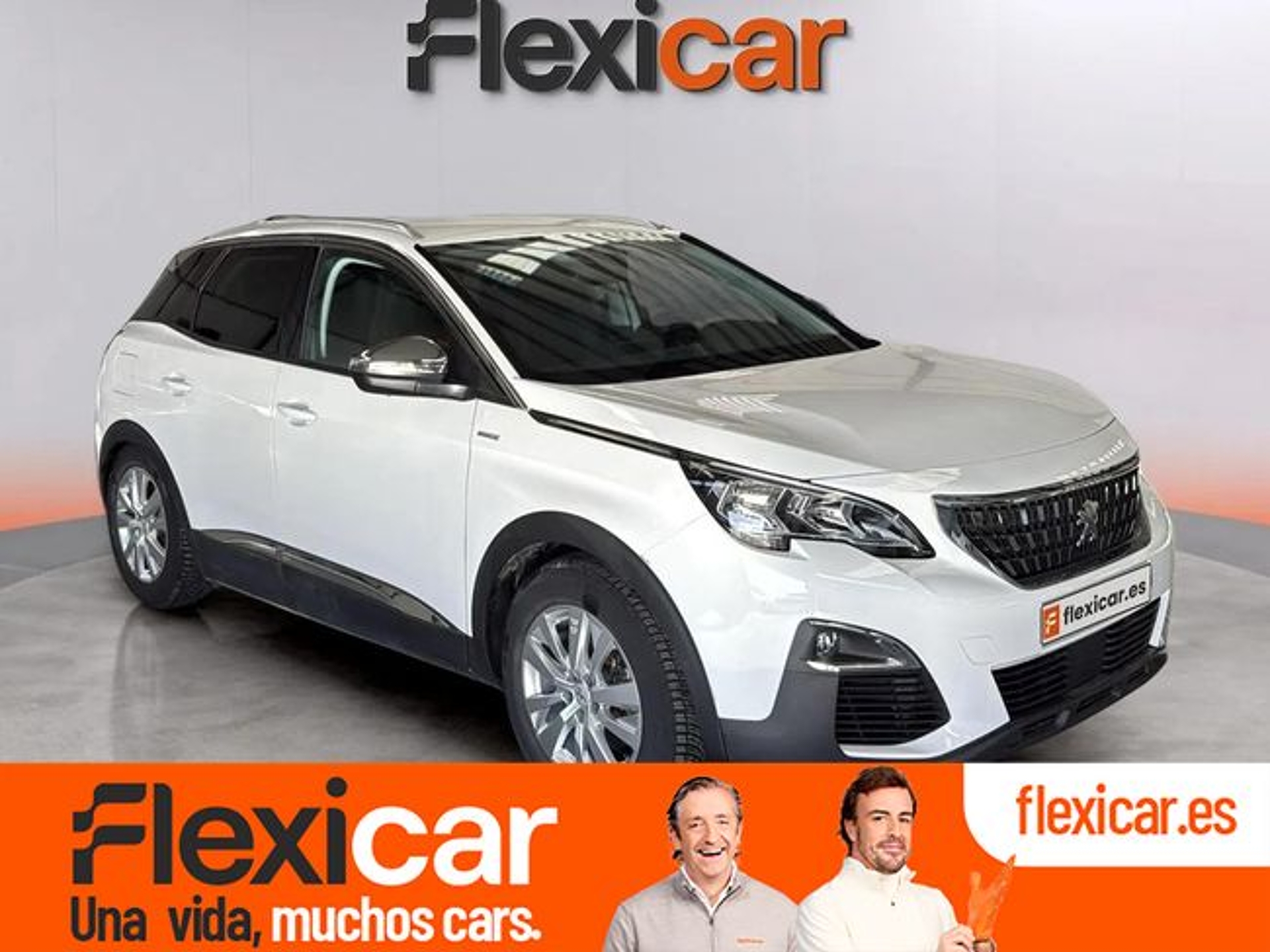 Imagen de PEUGEOT 3008