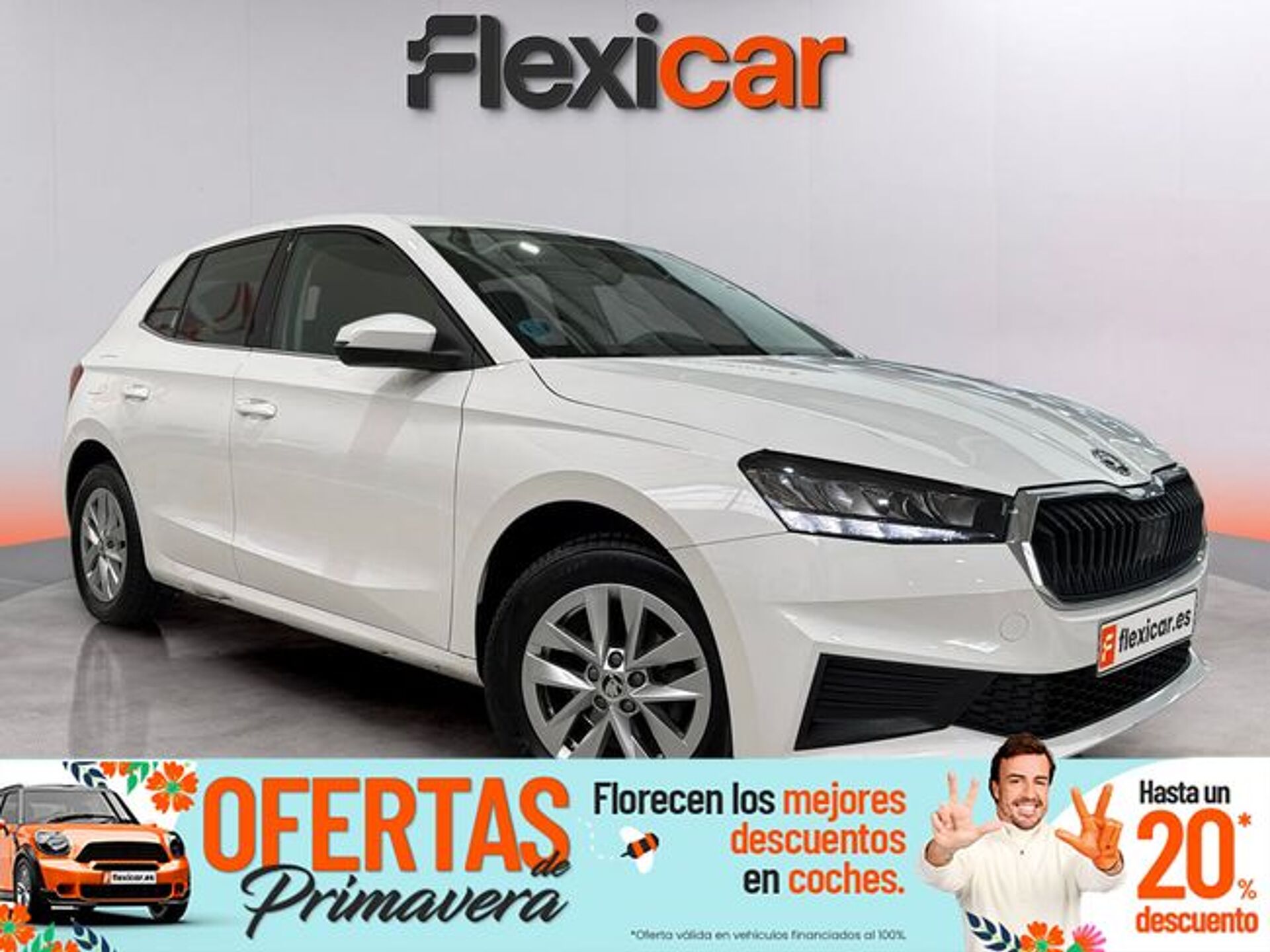 Imagen 1 de SKODA Fabia