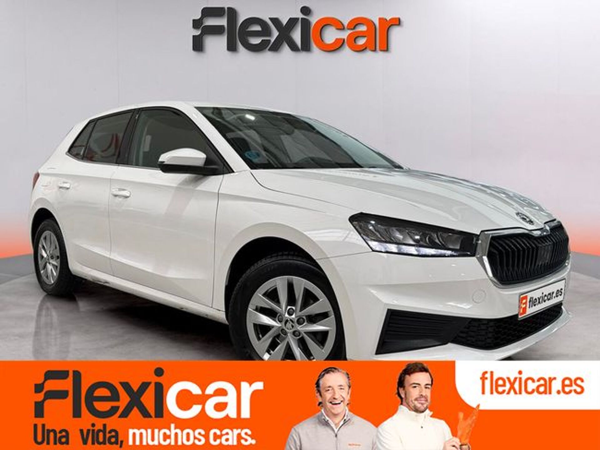 Imagen 1 de SKODA Fabia