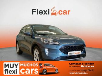 Imagen de FORD Kuga 1.5 EcoBlue Trend FWD 120