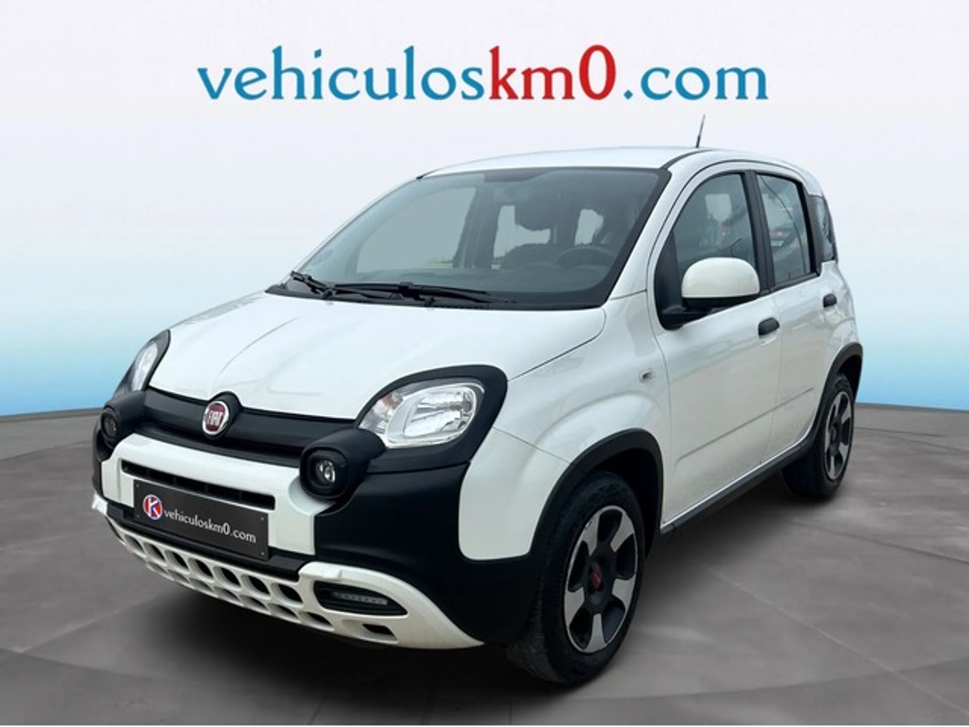 Imagen 1 de FIAT Panda