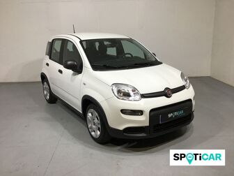 Imagen de FIAT Panda 1.0 Hybrid