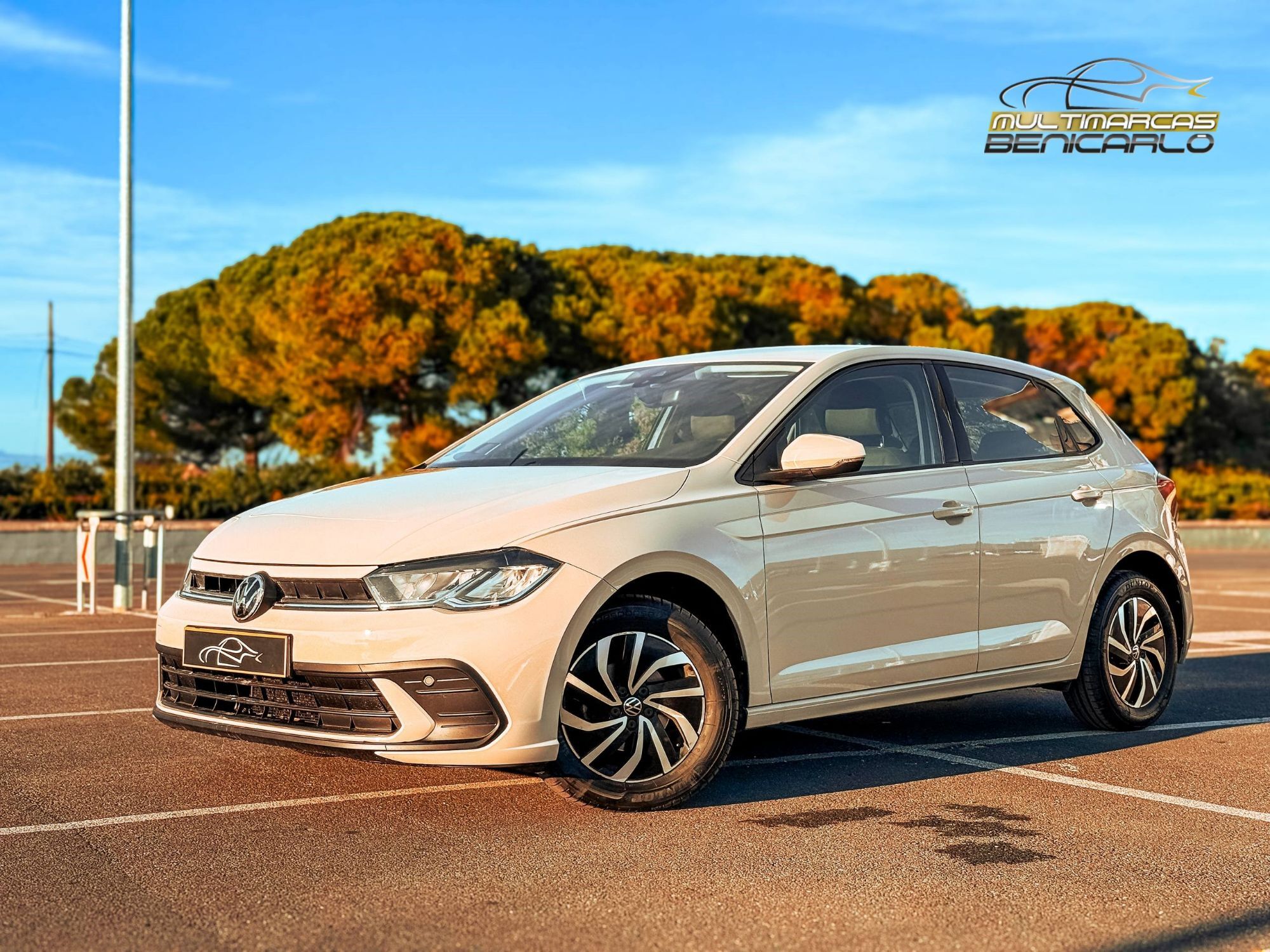 VOLKSWAGEN Polo (1.0 TSI Life 70kW) en Castellón