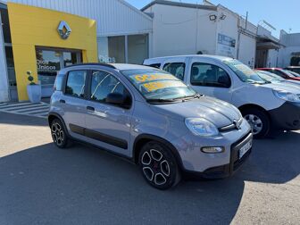 Imagen de FIAT Panda 1.0 Gse City Live Hybrid