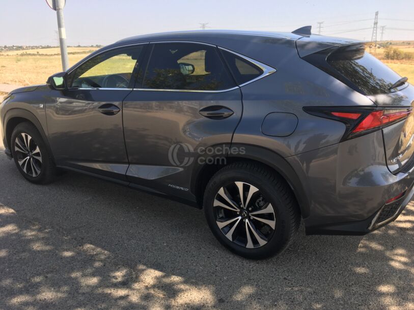 Foto del LEXUS NX 300h F Sport Panorámico 4WD