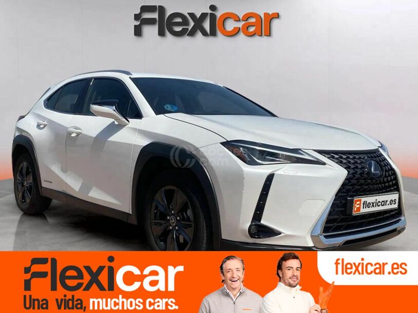 Foto del LEXUS UX 250h Business 4WD