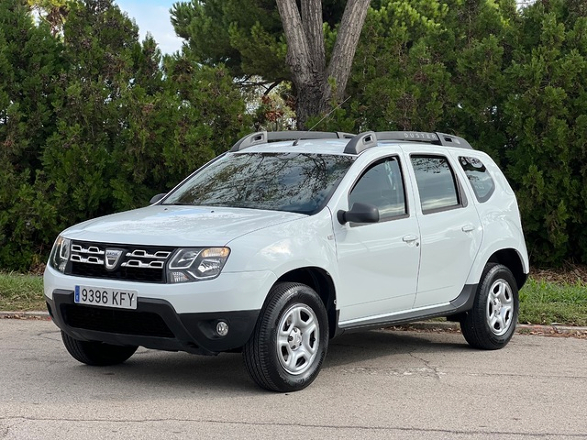 Imagen de DACIA Duster