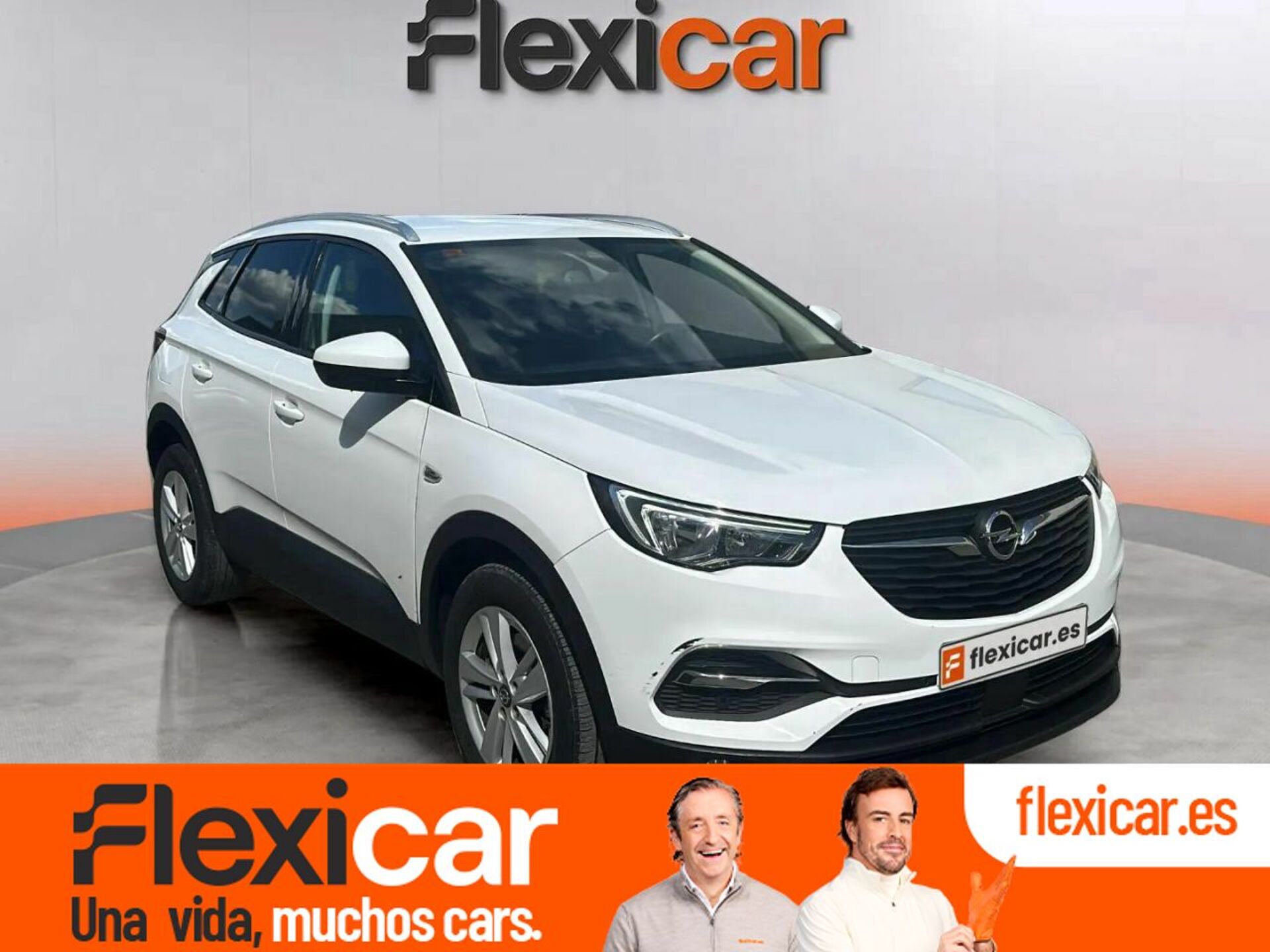 Imagen de OPEL Grandland X