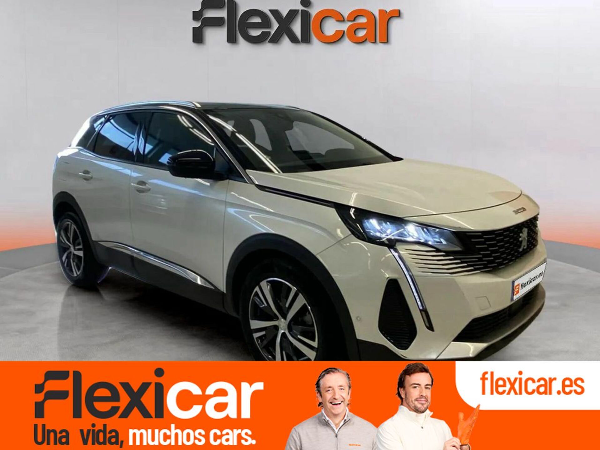 Imagen de PEUGEOT 3008