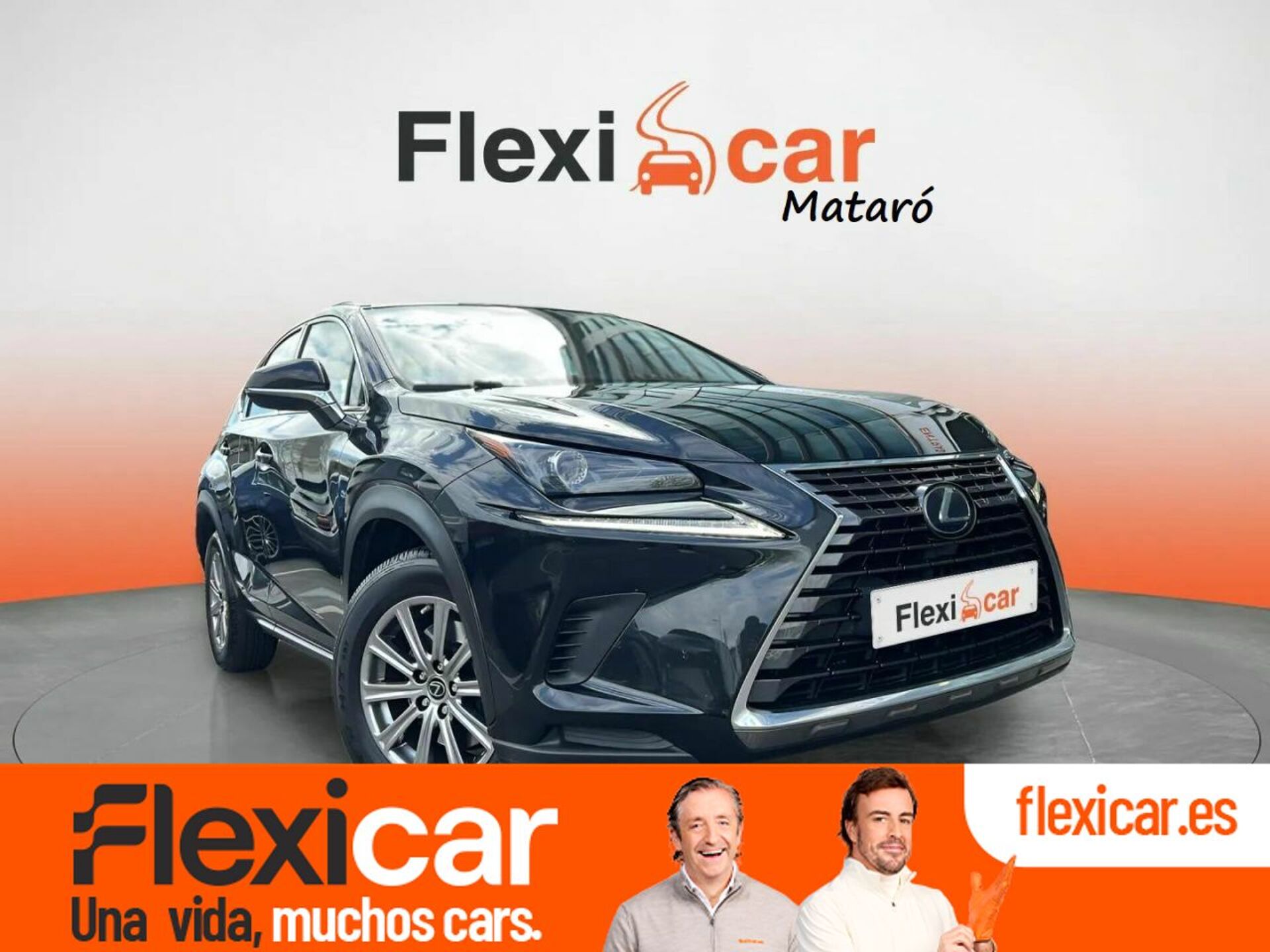 Imagen de LEXUS NX
