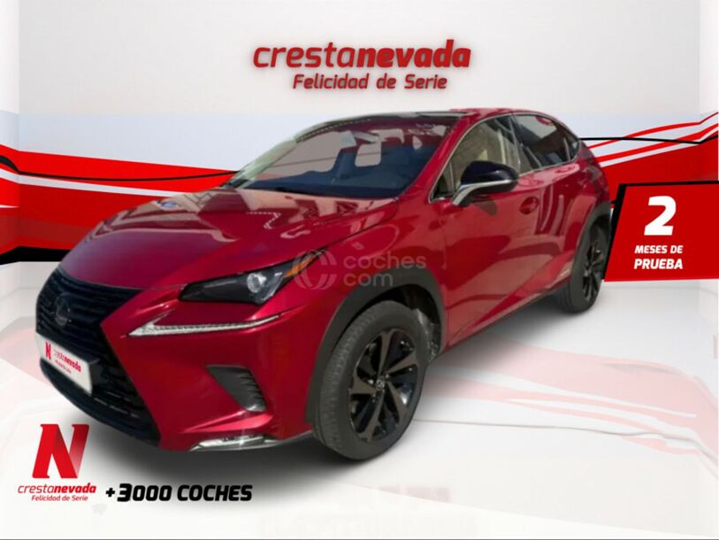 Foto del LEXUS NX 300h Sport Edition 2WD