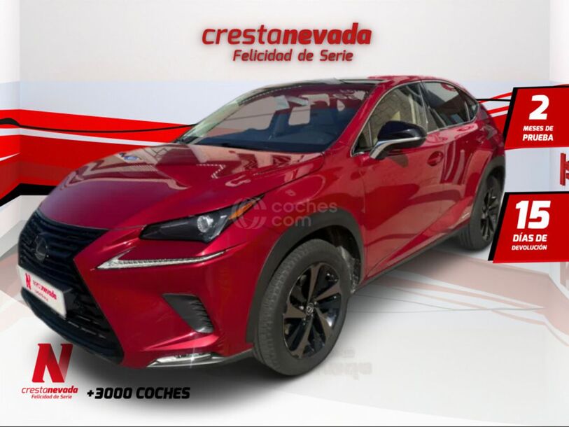 Foto del LEXUS NX 300h Sport Edition 2WD