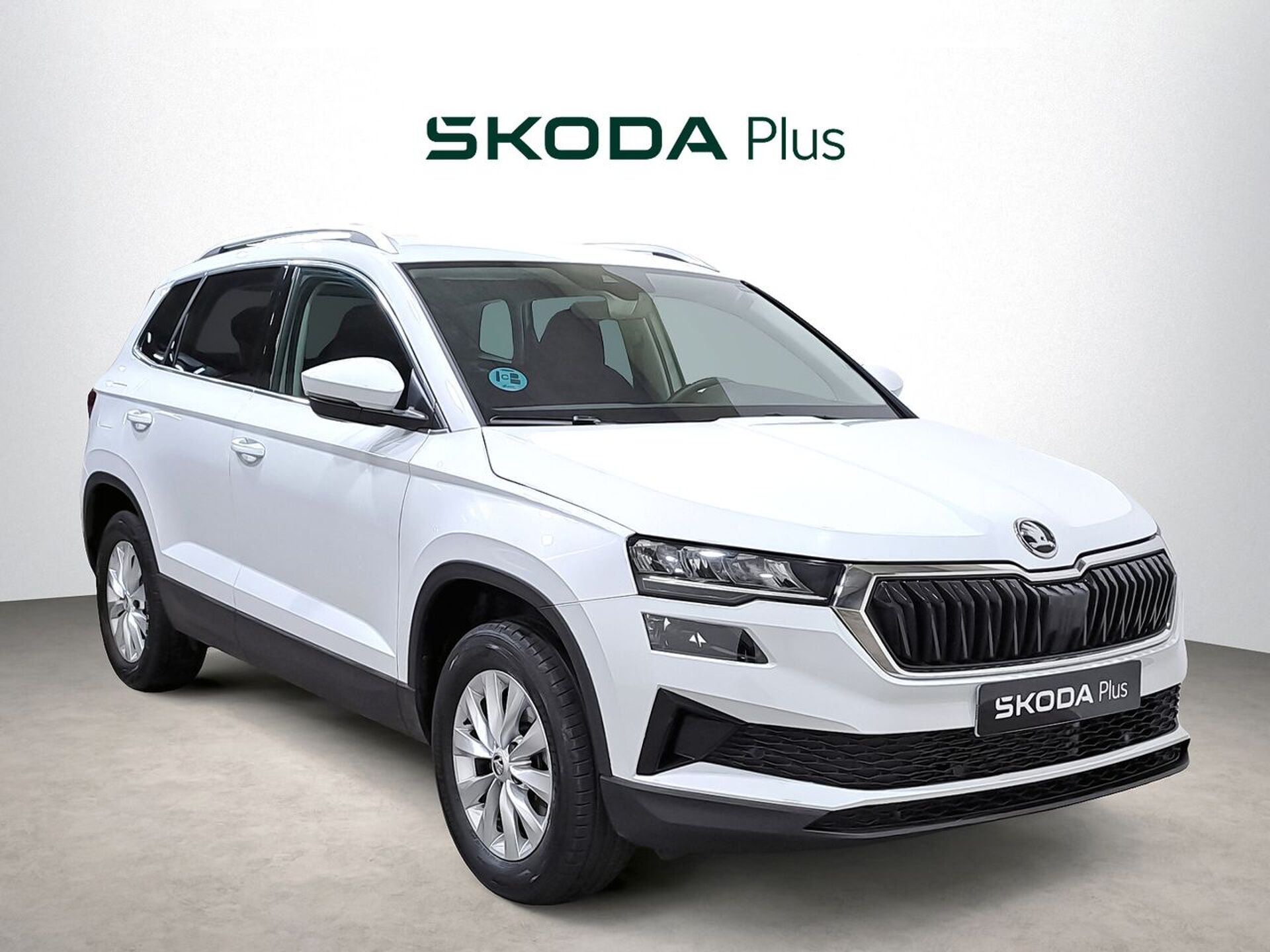Imagen de SKODA Karoq