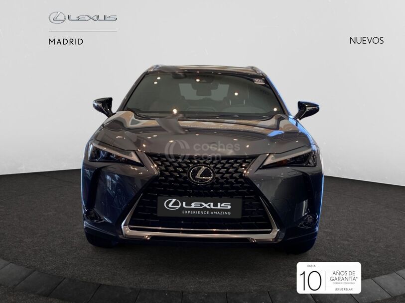 Foto del LEXUS UX 300h UX+