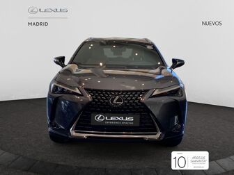 Imagen de LEXUS UX 300h UX+