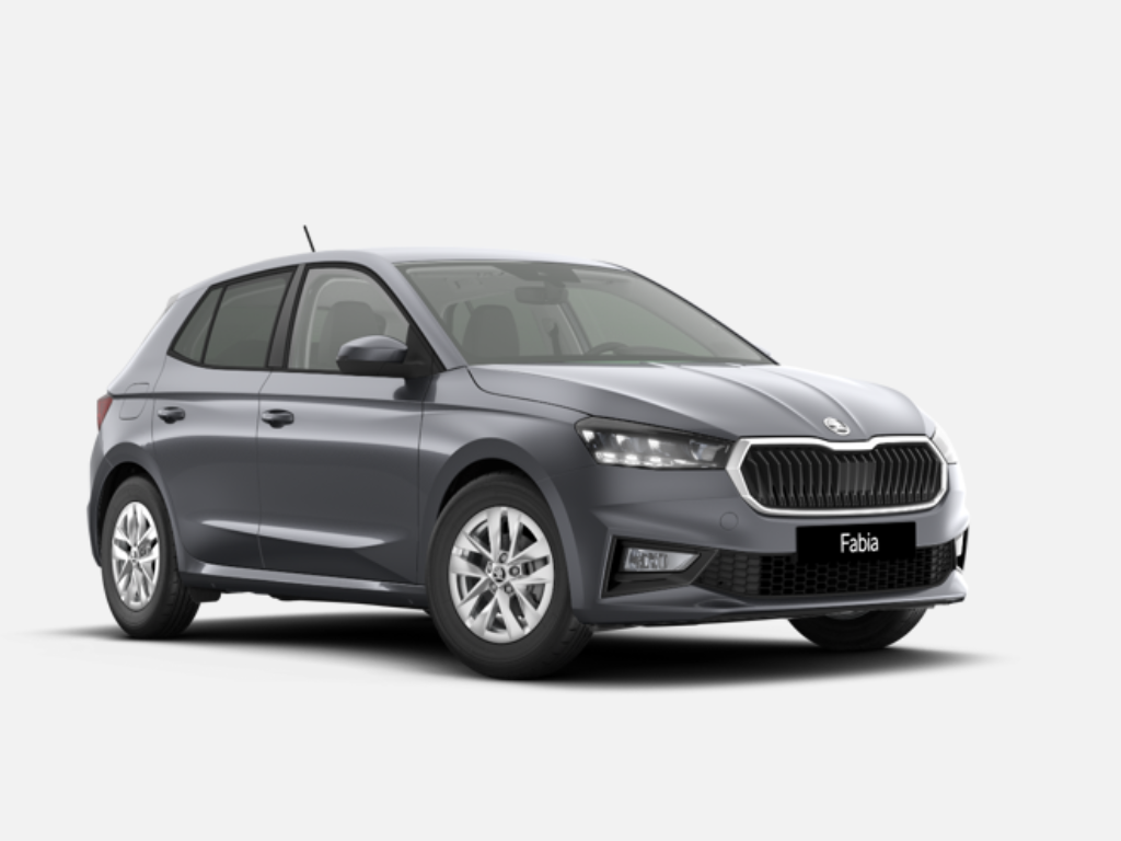 SKODA Fabia (1.0 MPI 59KW (80CV) Go) en Castellón