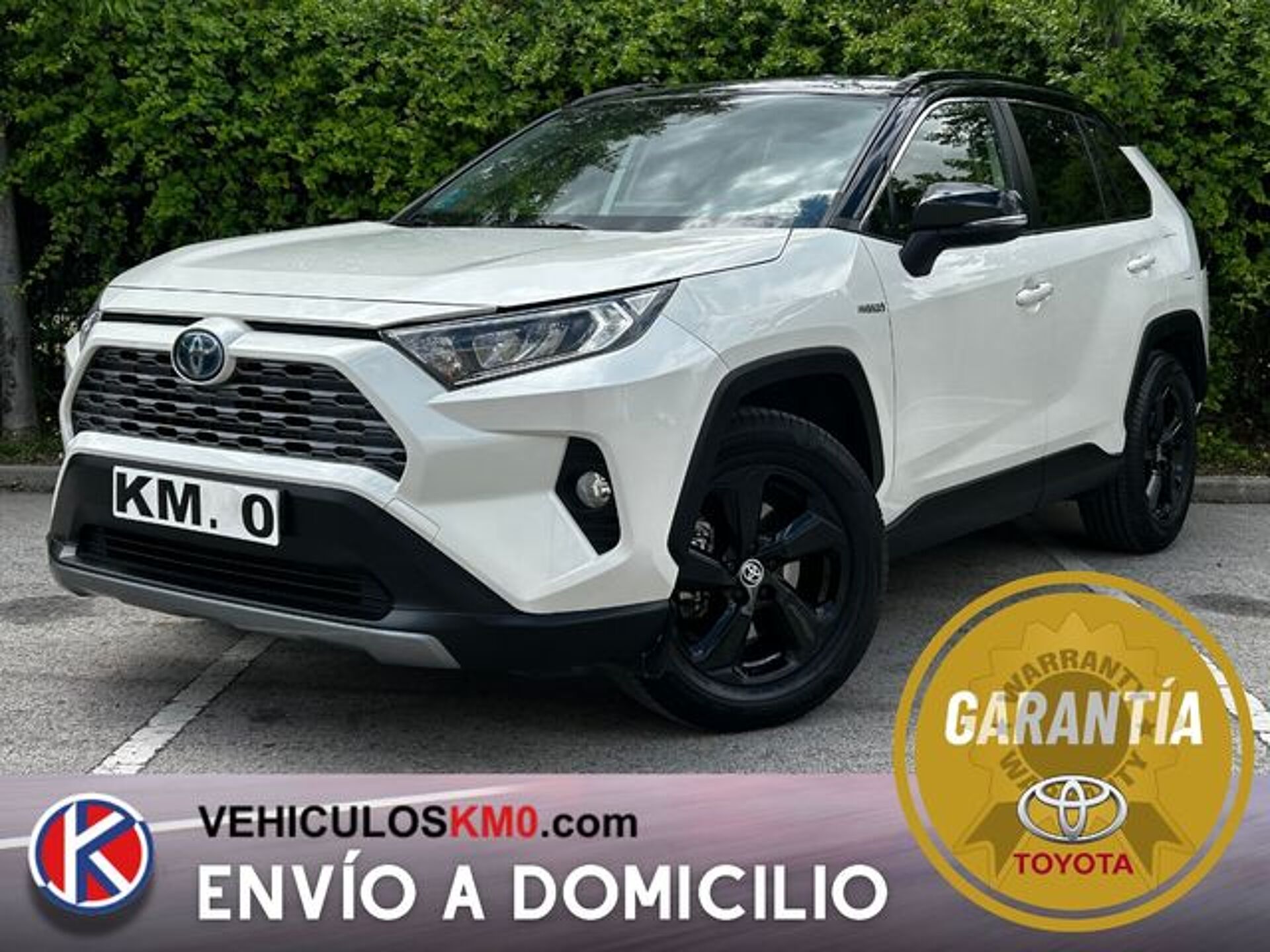 Imagen de TOYOTA RAV-4