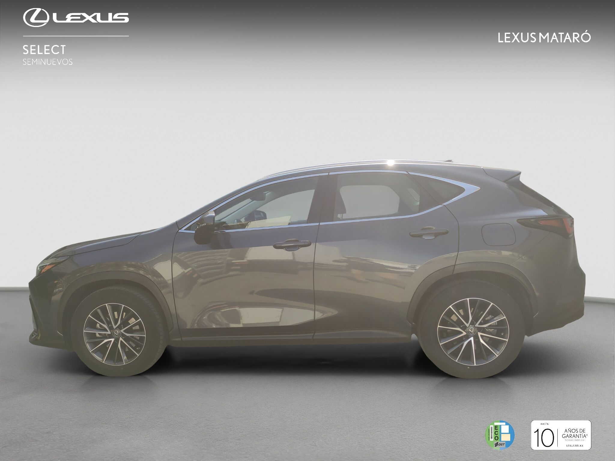 Foto del LEXUS NX 350h Business 2WD