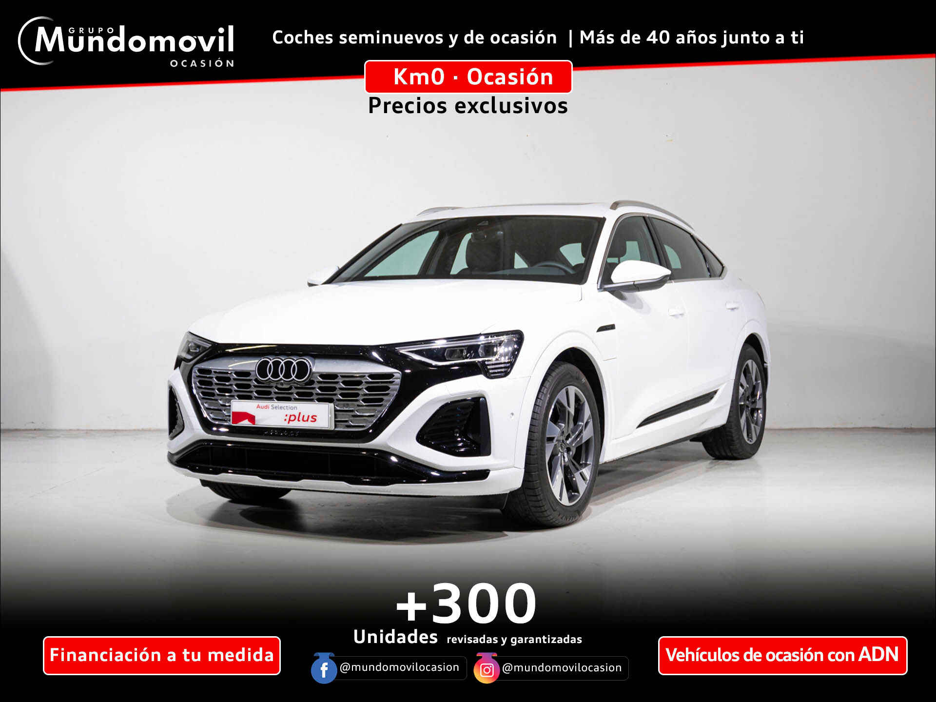 AUDI e-tron (BEV 114KWH 55 QUATTRO S LINE AUTO 5P) en Navarra