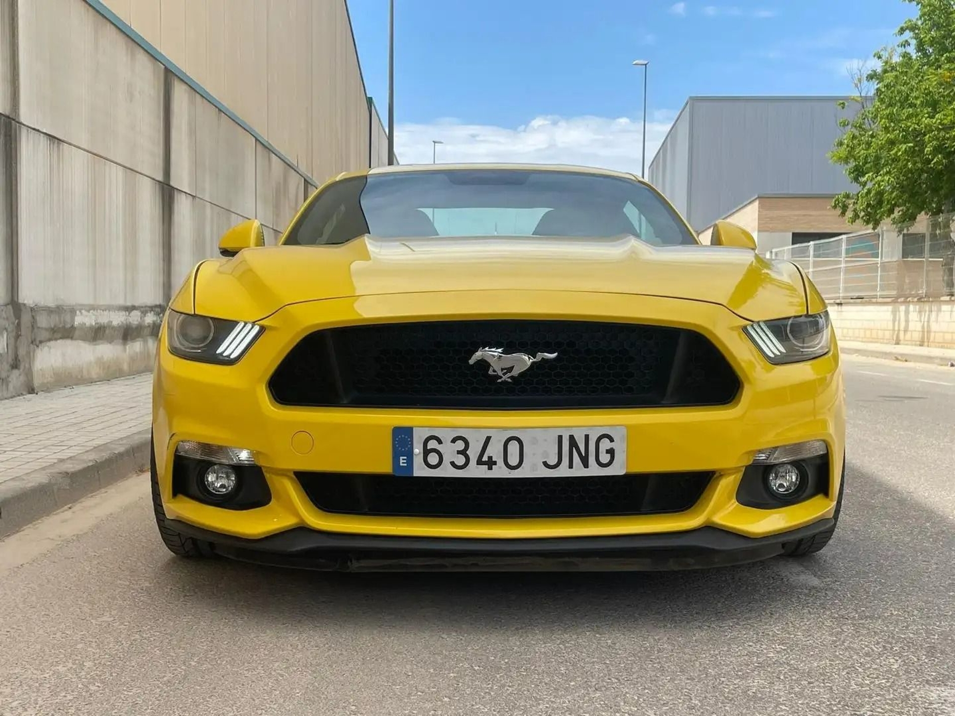 Imagen de FORD Mustang