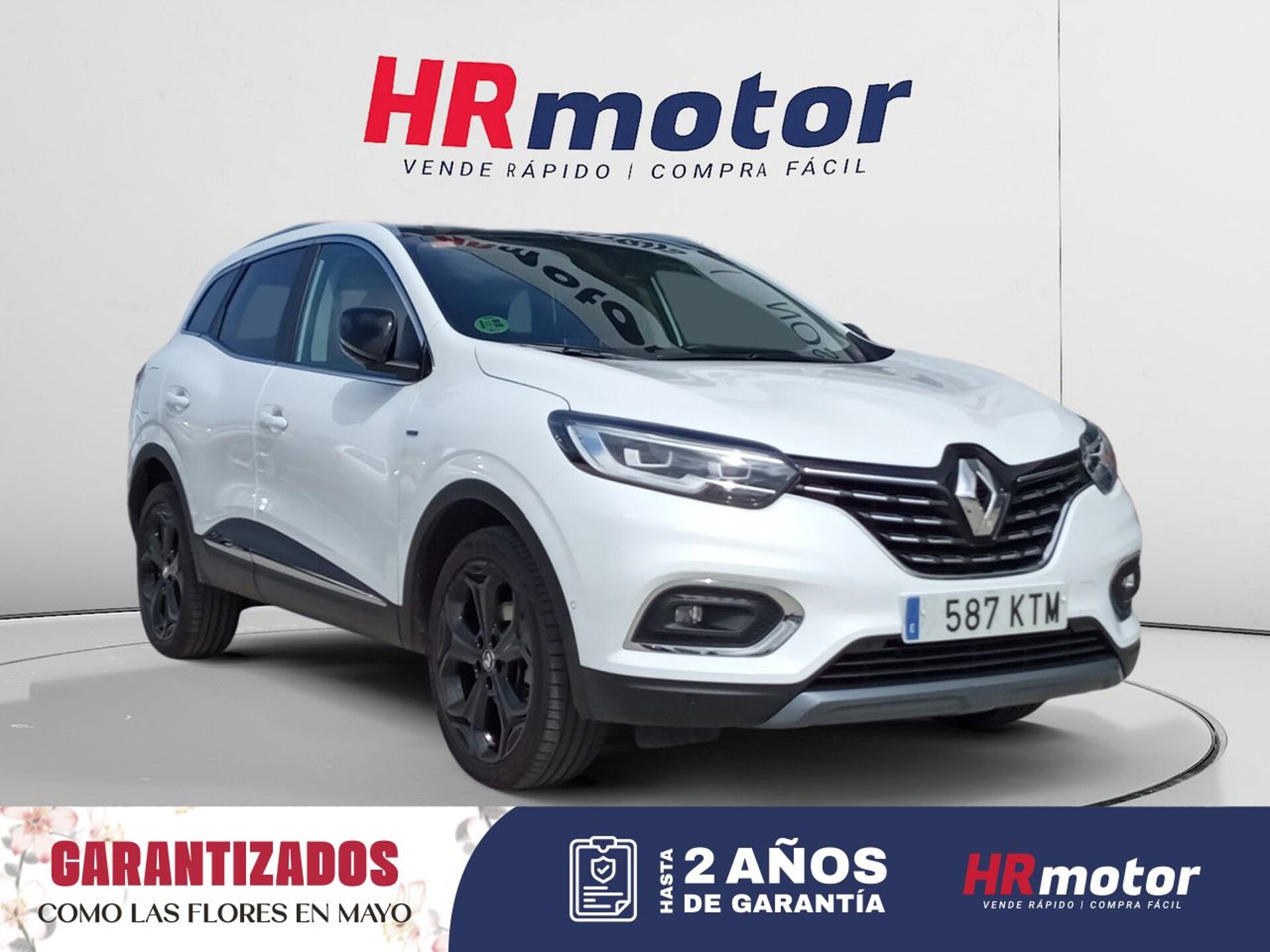 Imagen de RENAULT Kadjar