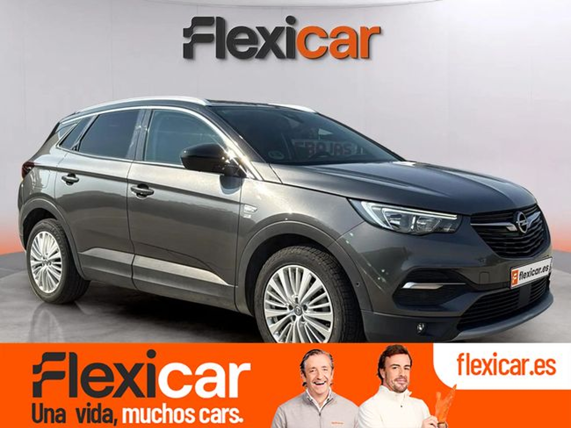 Imagen de OPEL Grandland X