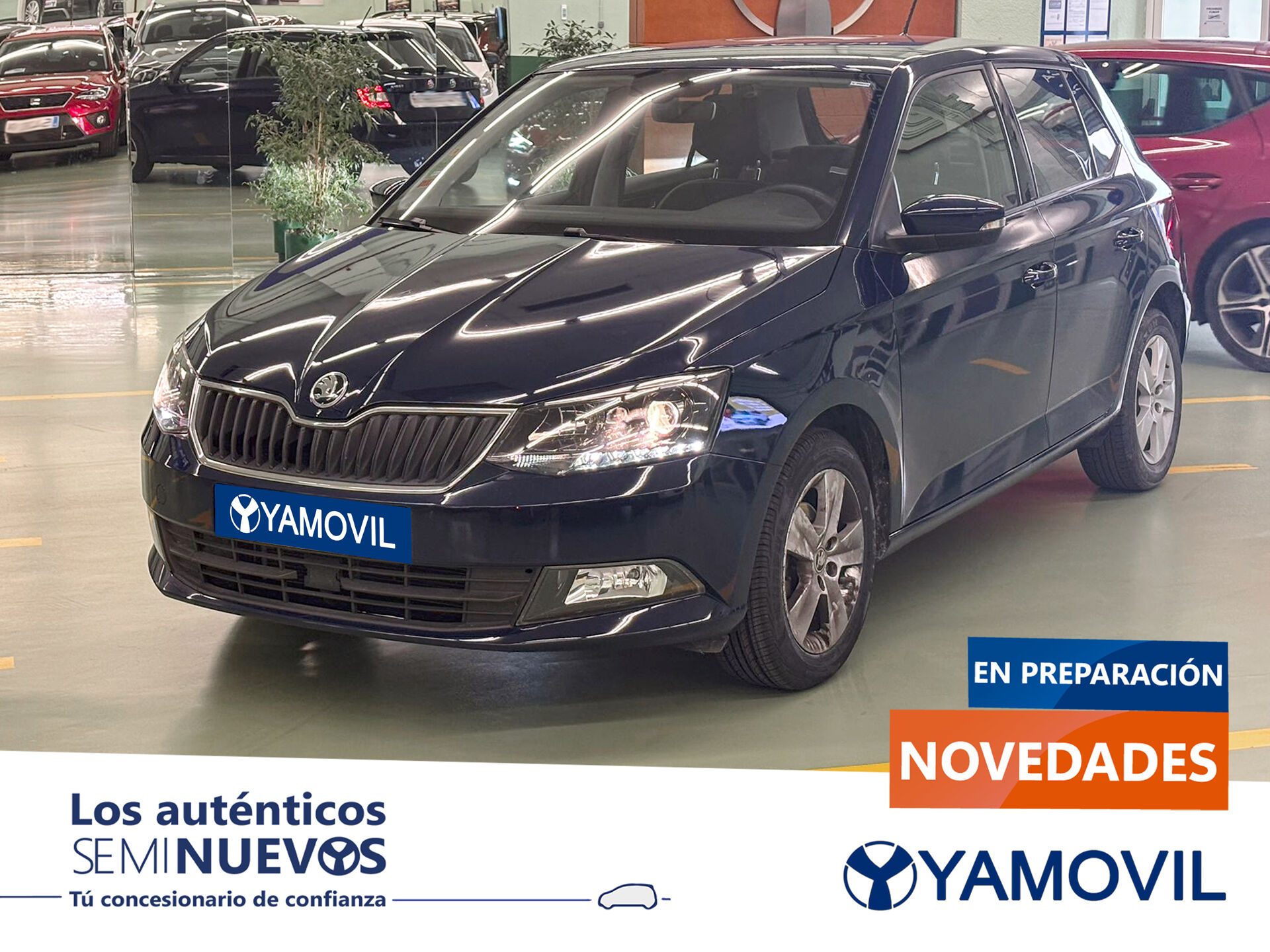 Imagen de SKODA Fabia