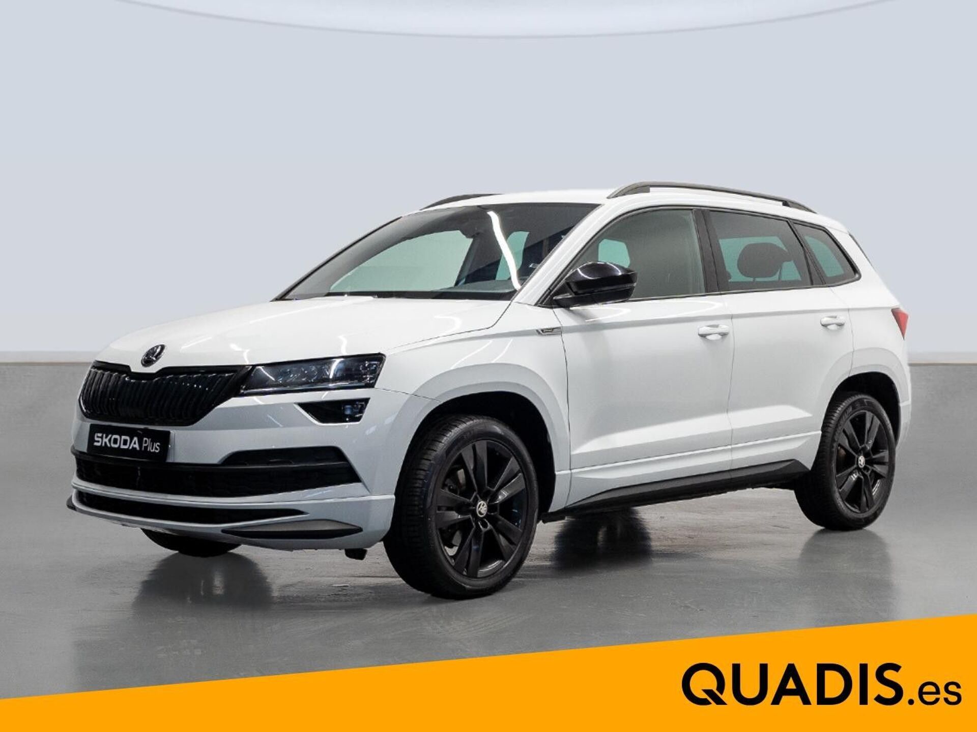 Imagen de SKODA Karoq