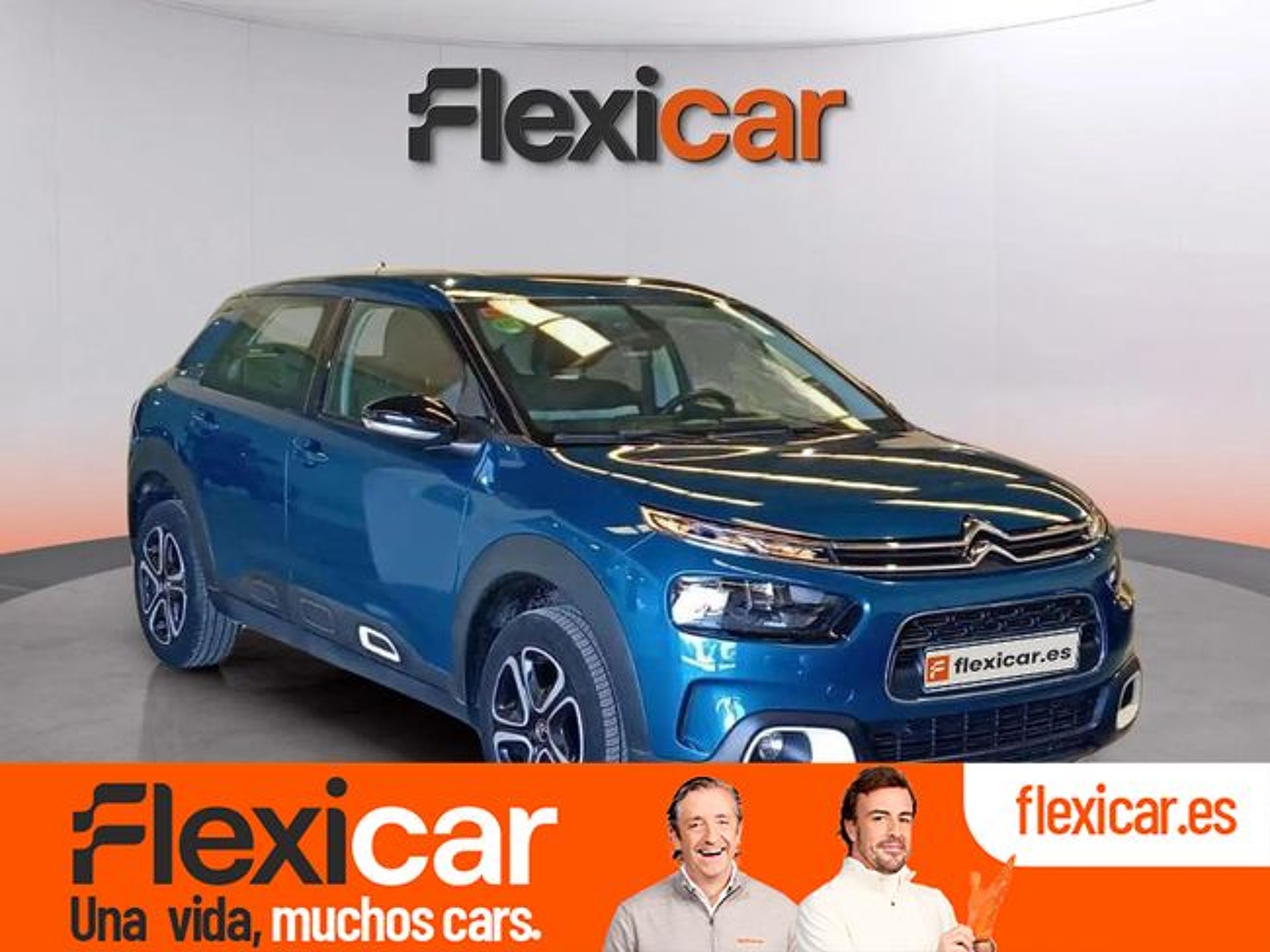 Imagen de CITROEN C4 Cactus