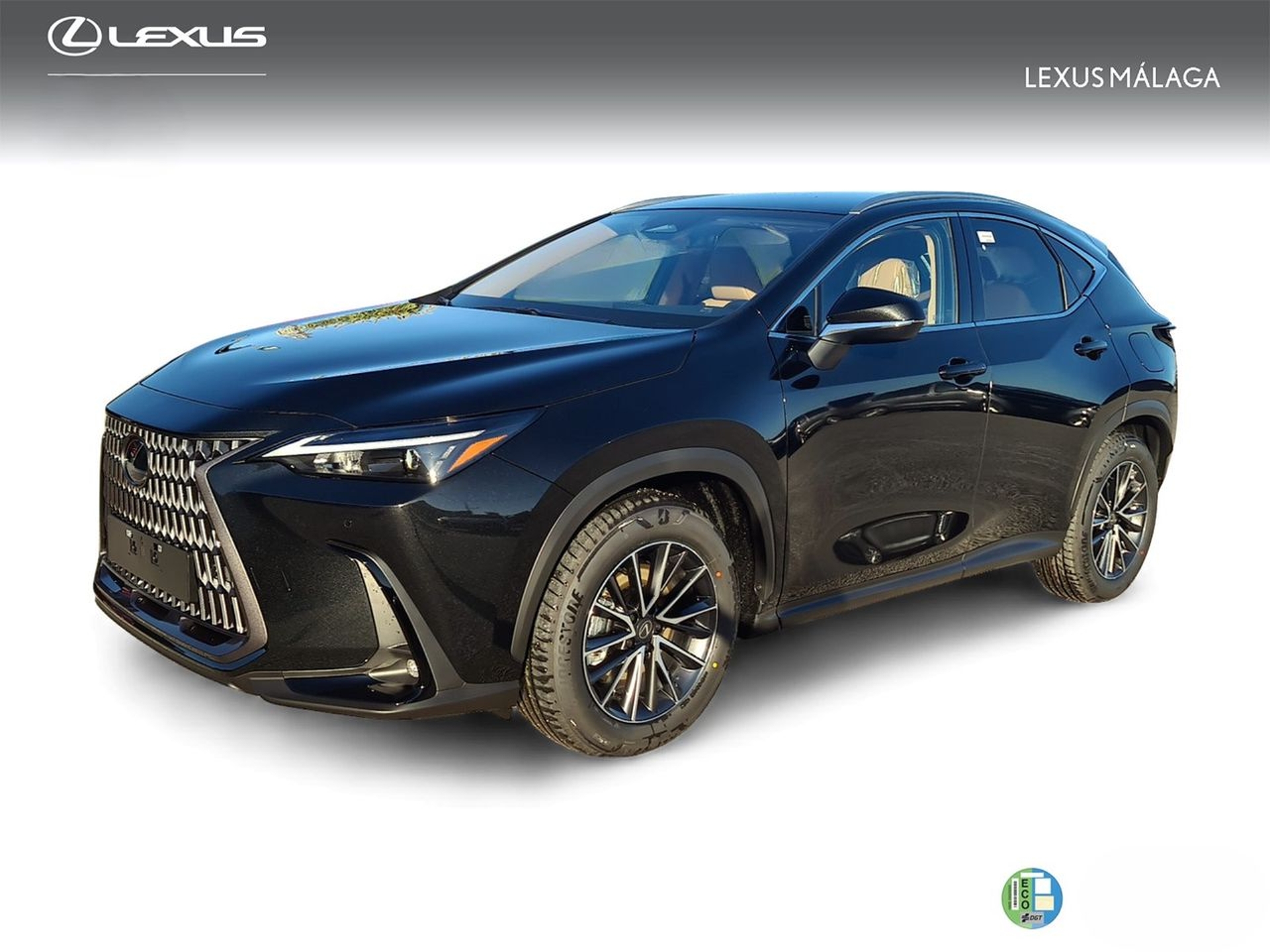 Imagen de LEXUS NX
