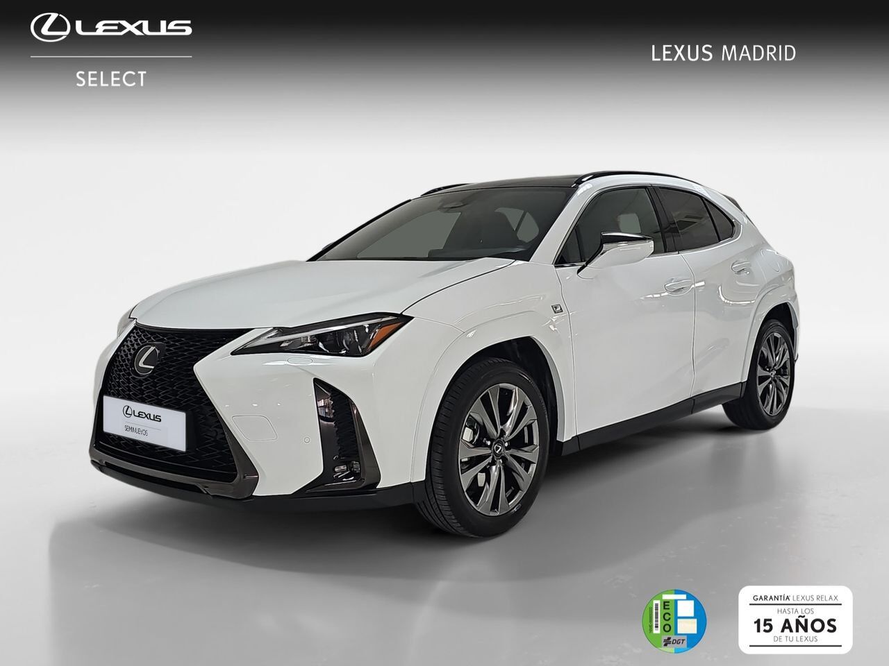 LEXUS UX (2.0 300h F Sport Plus) en Madrid