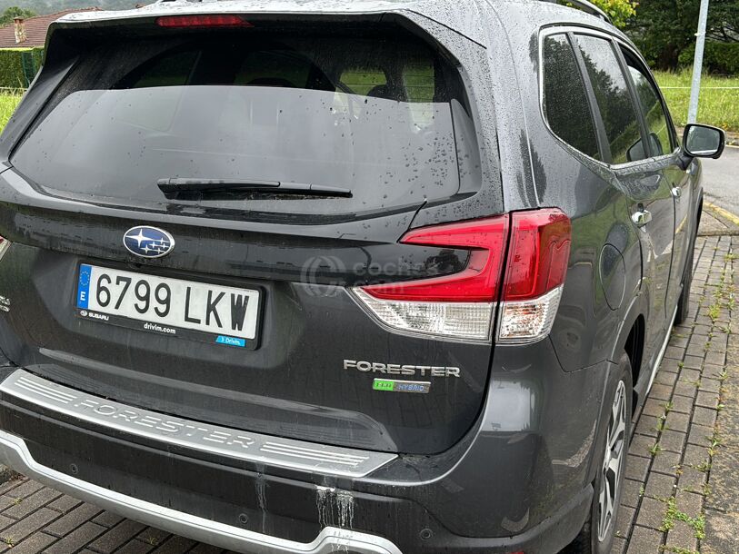 Foto del SUBARU Forester 2.0i Hybrid Executive Plus CVT