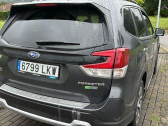 Imagen de SUBARU Forester 2.0i Hybrid Executive Plus CVT