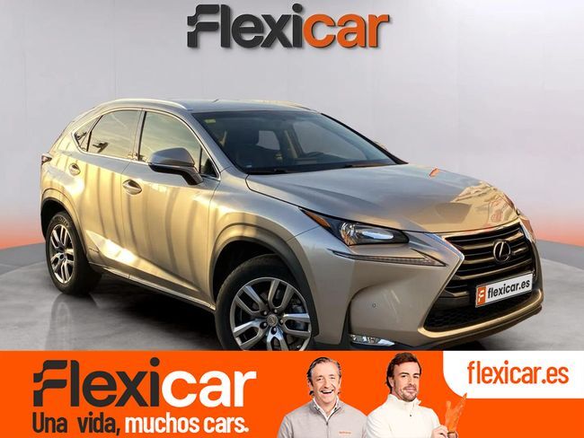 Foto del LEXUS NX 300h Business 2WD