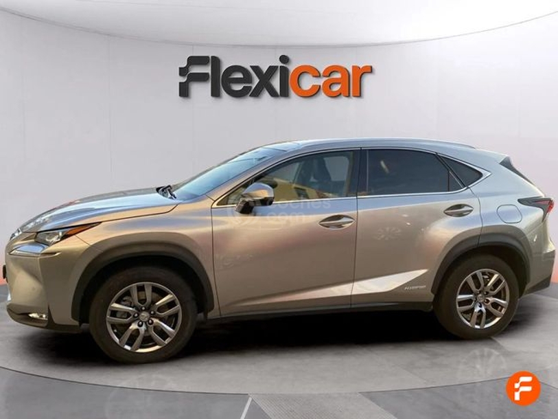Foto del LEXUS NX 300h Business 2WD
