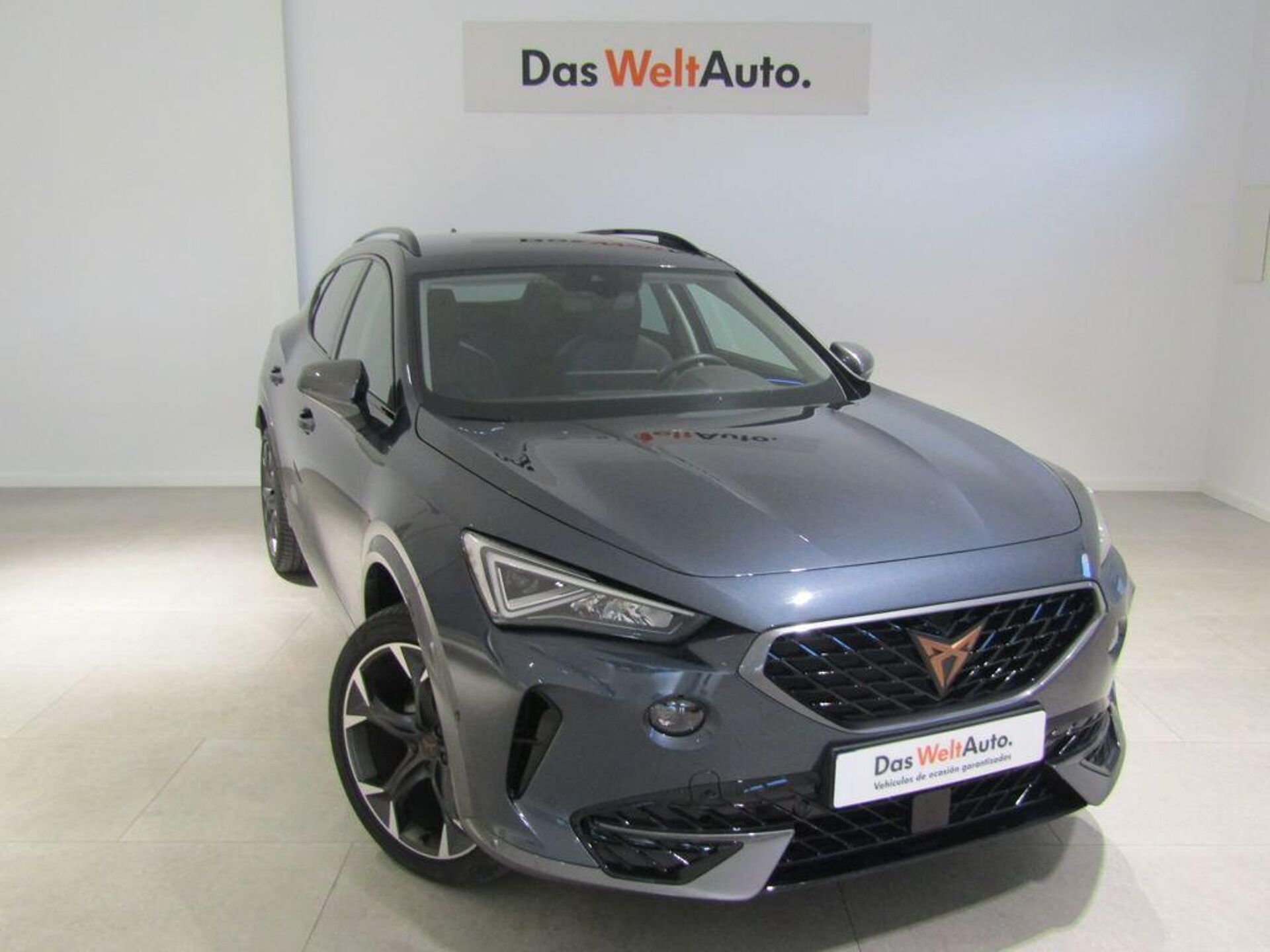 Imagen de CUPRA Formentor
