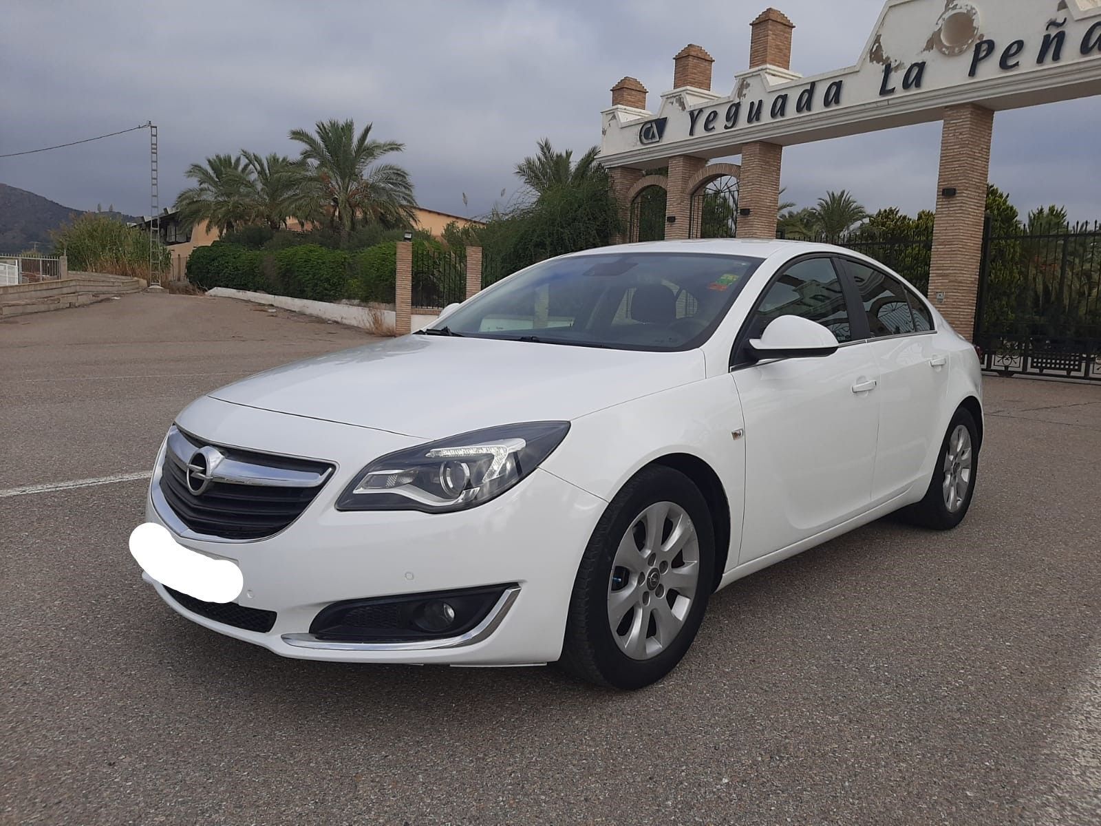 OPEL Insignia (1.6CDTI ecoFlex S&S Business 136) en Murcia