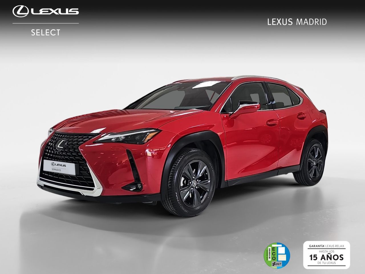 Foto del LEXUS UX 250h Premium 4WD