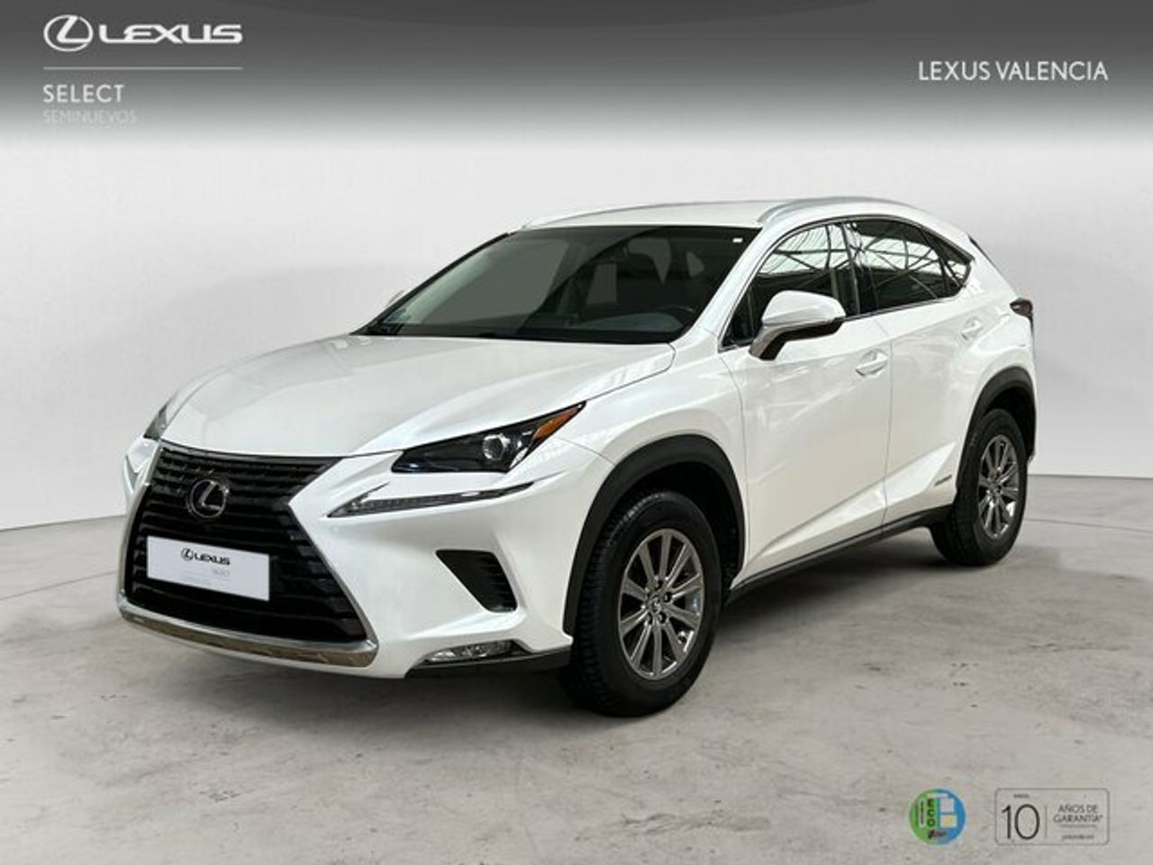 LEXUS NX (300h 2WD WG NEDC BUSINESS NAVIGATION) en Valencia