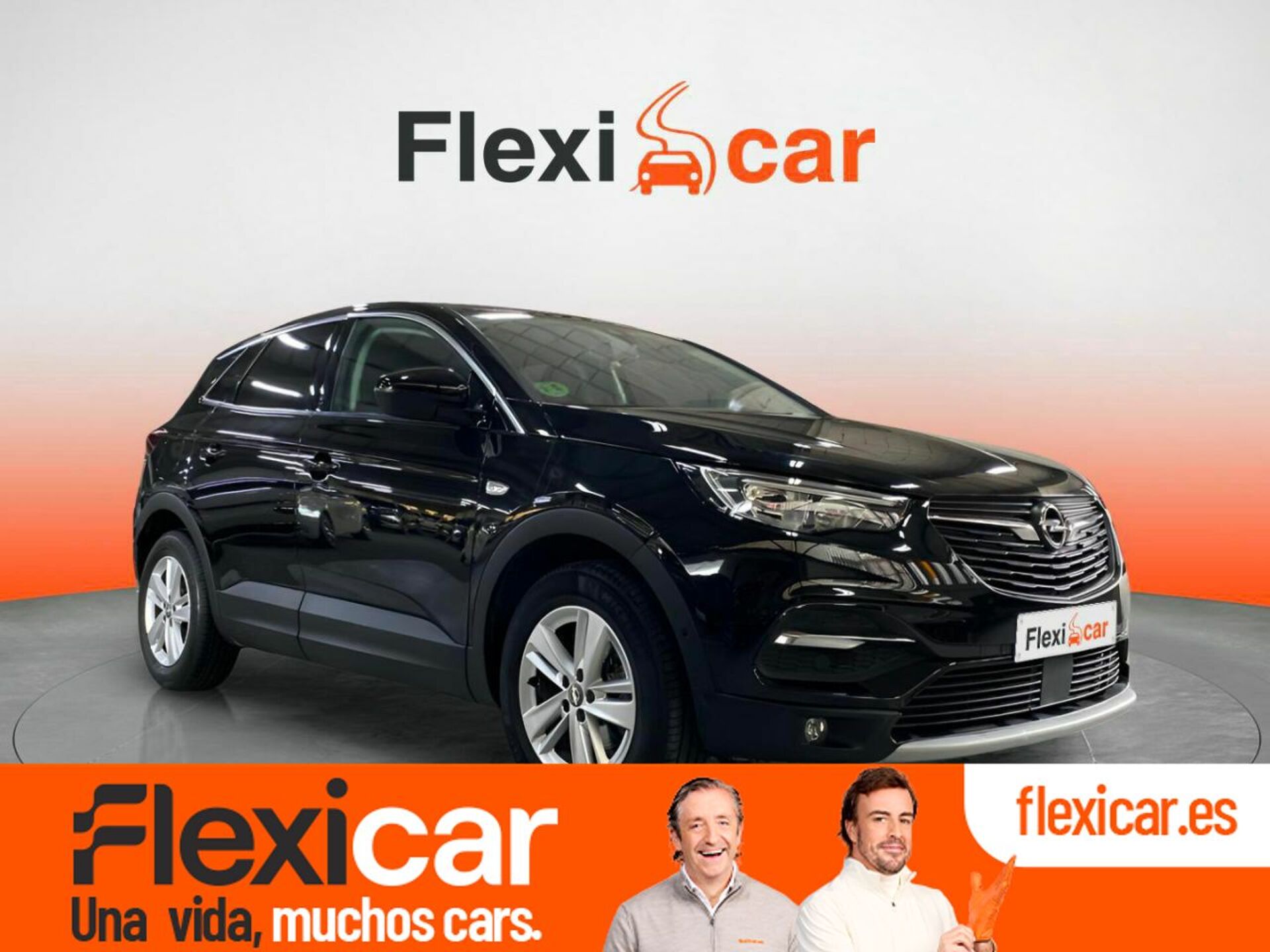 Imagen de OPEL Grandland X