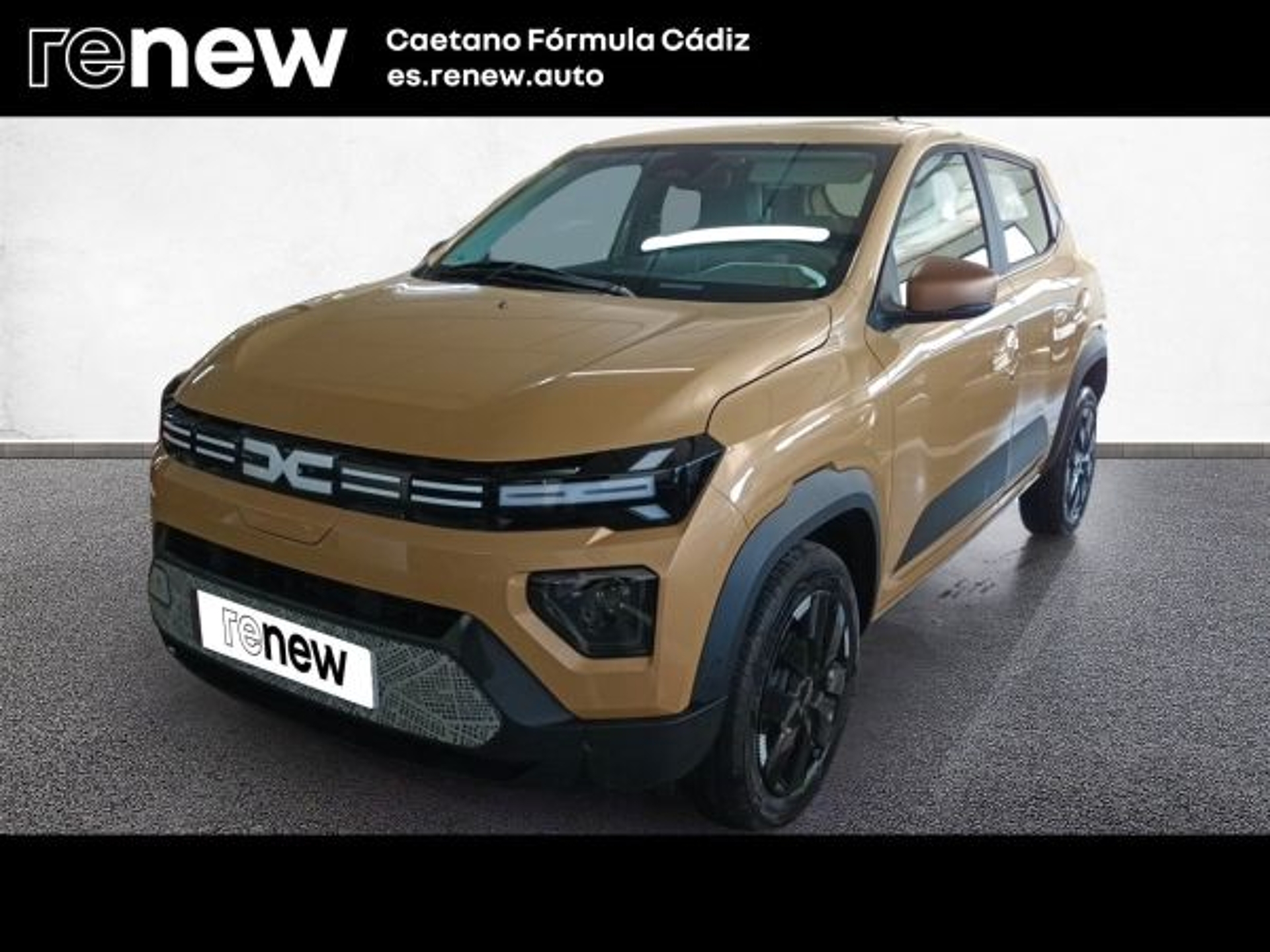 Imagen de DACIA Spring