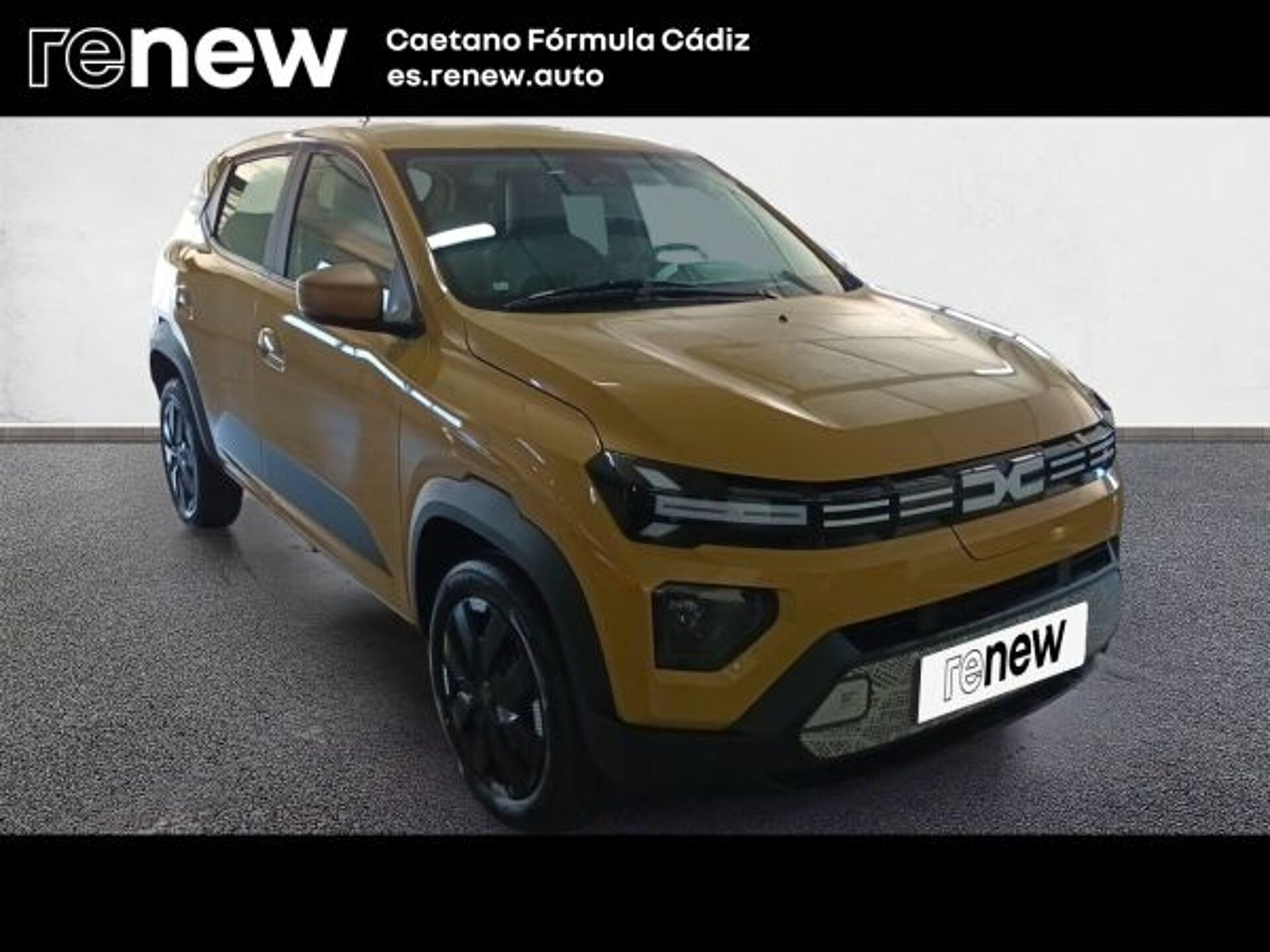 Imagen 3 de DACIA Spring