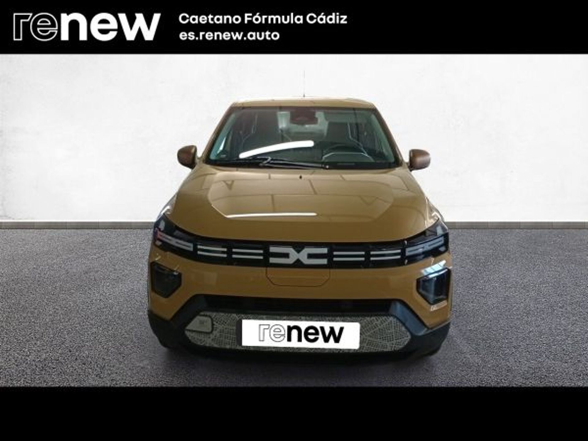 Imagen 2 de DACIA Spring