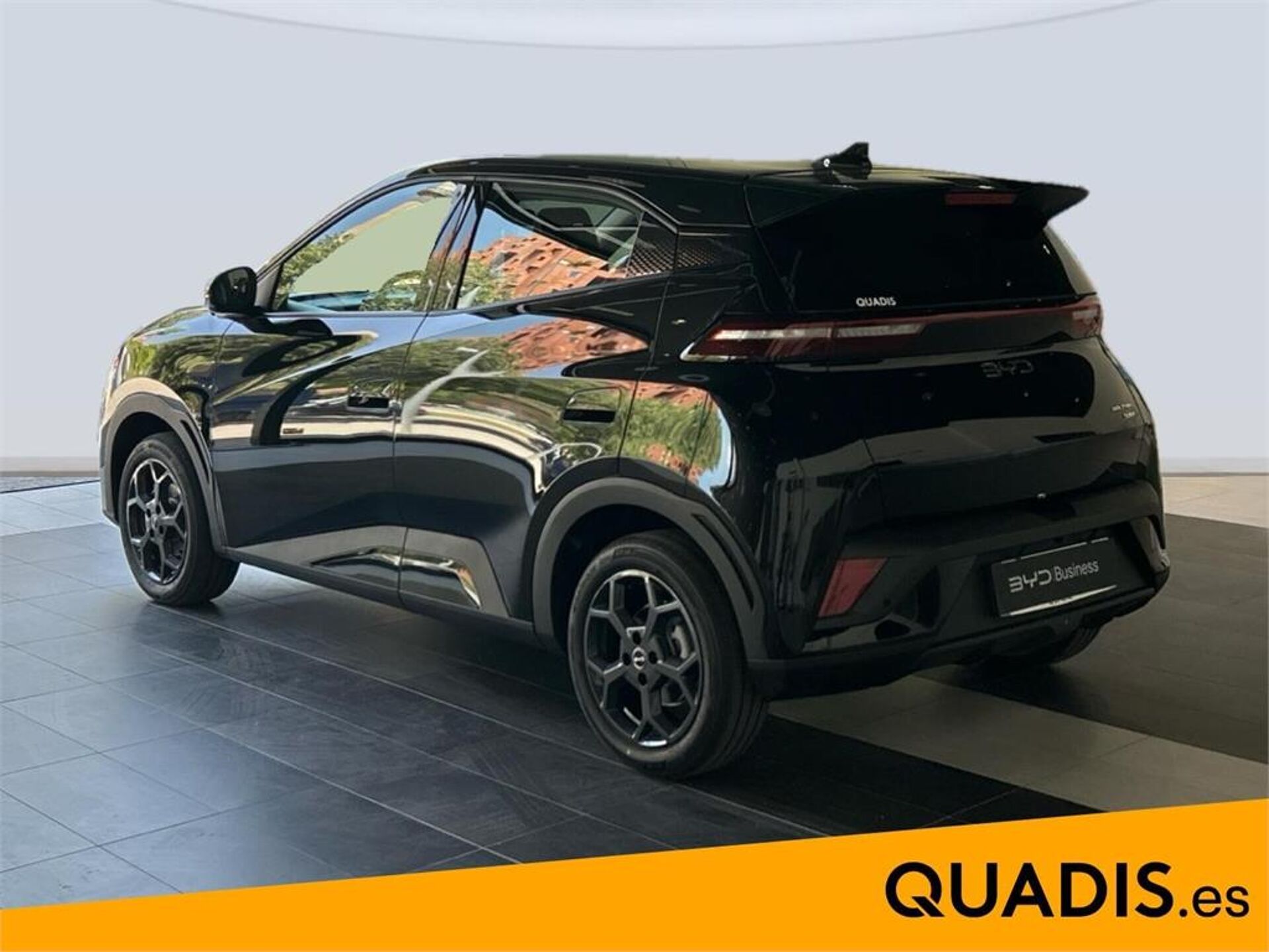 Imagen 2 de BYD Dolphin Surf