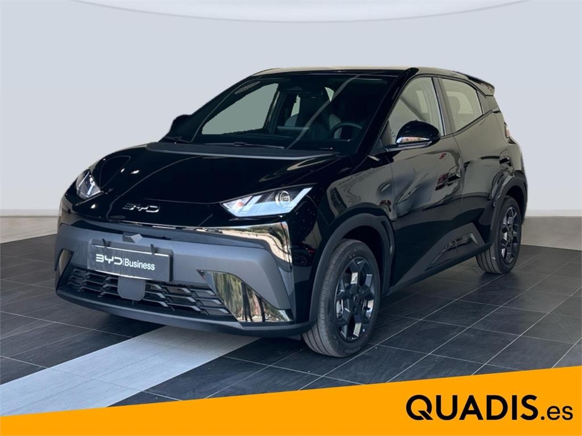 Imagen de BYD Dolphin Surf