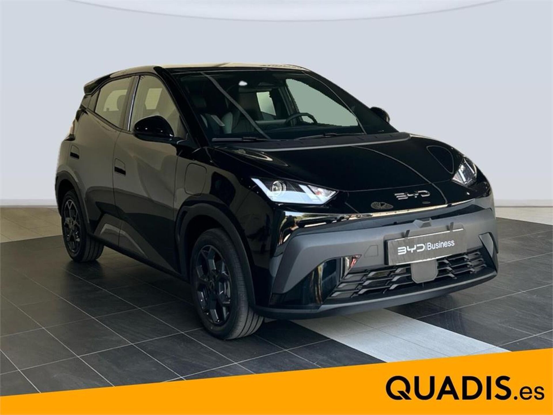 Imagen 3 de BYD Dolphin Surf