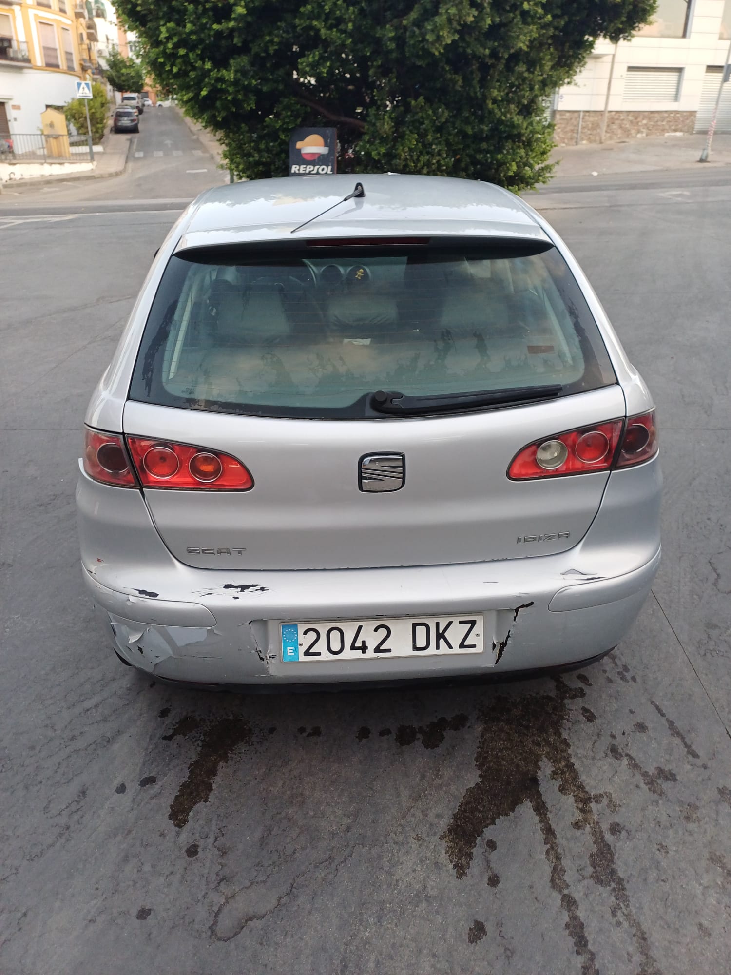 Foto del SEAT Ibiza 1.9 TDi Reference