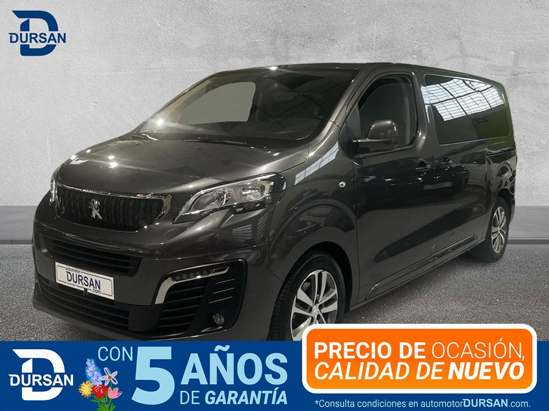 Imagen de PEUGEOT Traveller