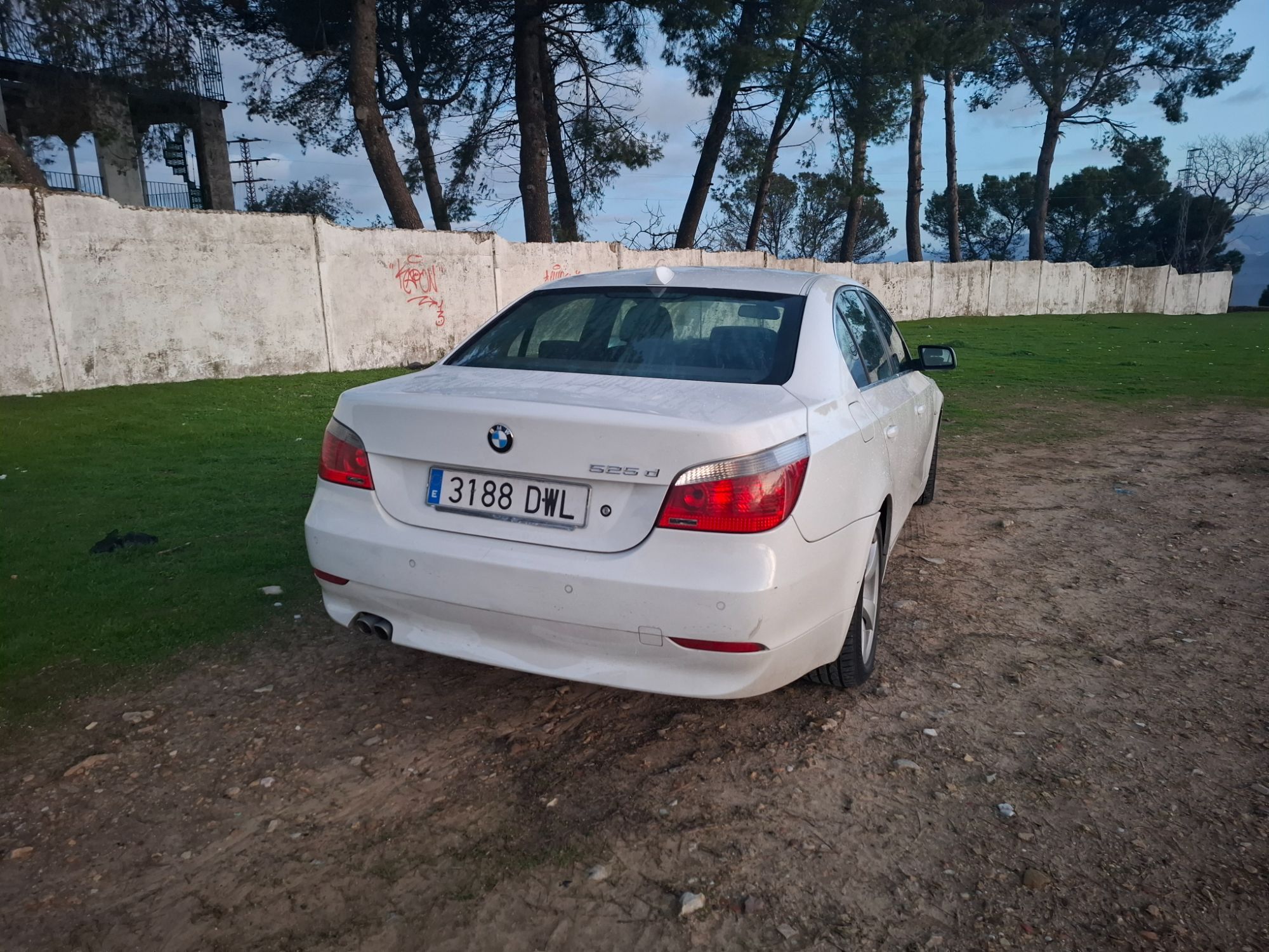 Foto del BMW Serie 5 525d